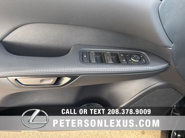 2025 Lexus RX 350 Premium photo 20
