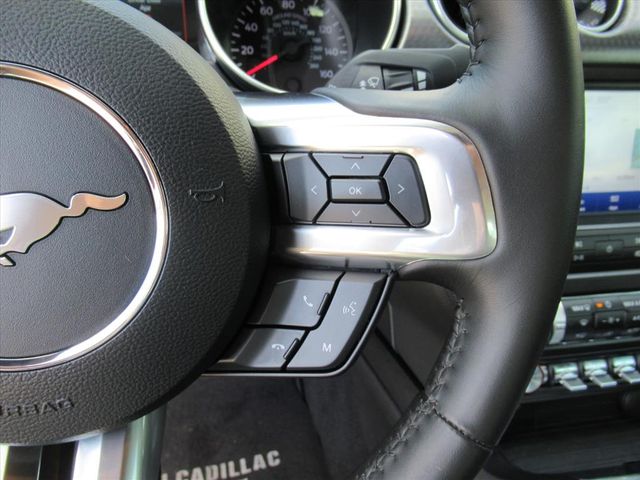 2019 Ford Mustang GT Premium photo 17