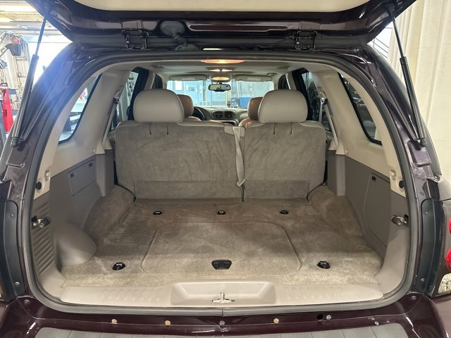 2008 Chevrolet Trailblazer LT photo 28