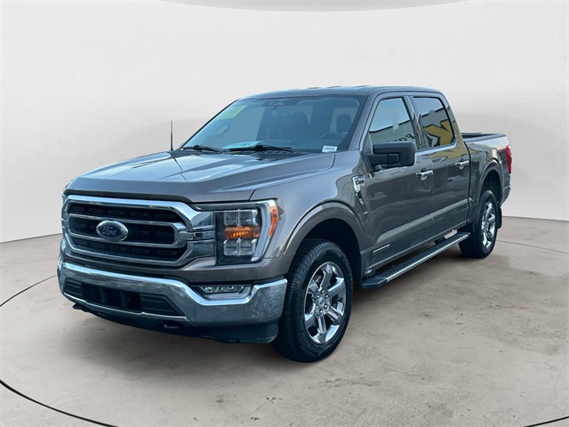 2023 Ford F-150 XLT's photo