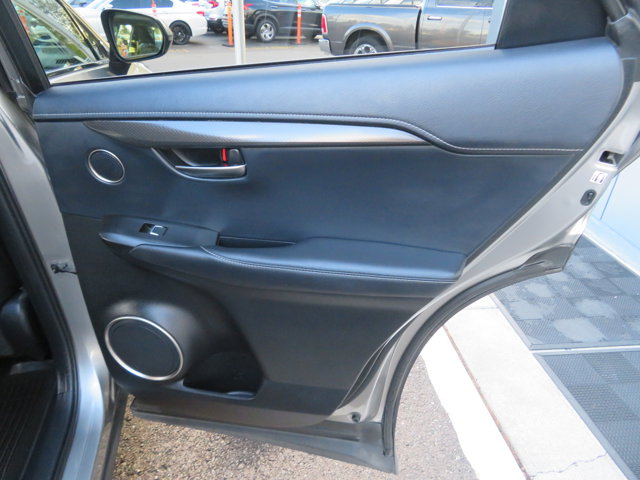 2020 Lexus NX 300h Premium photo 13