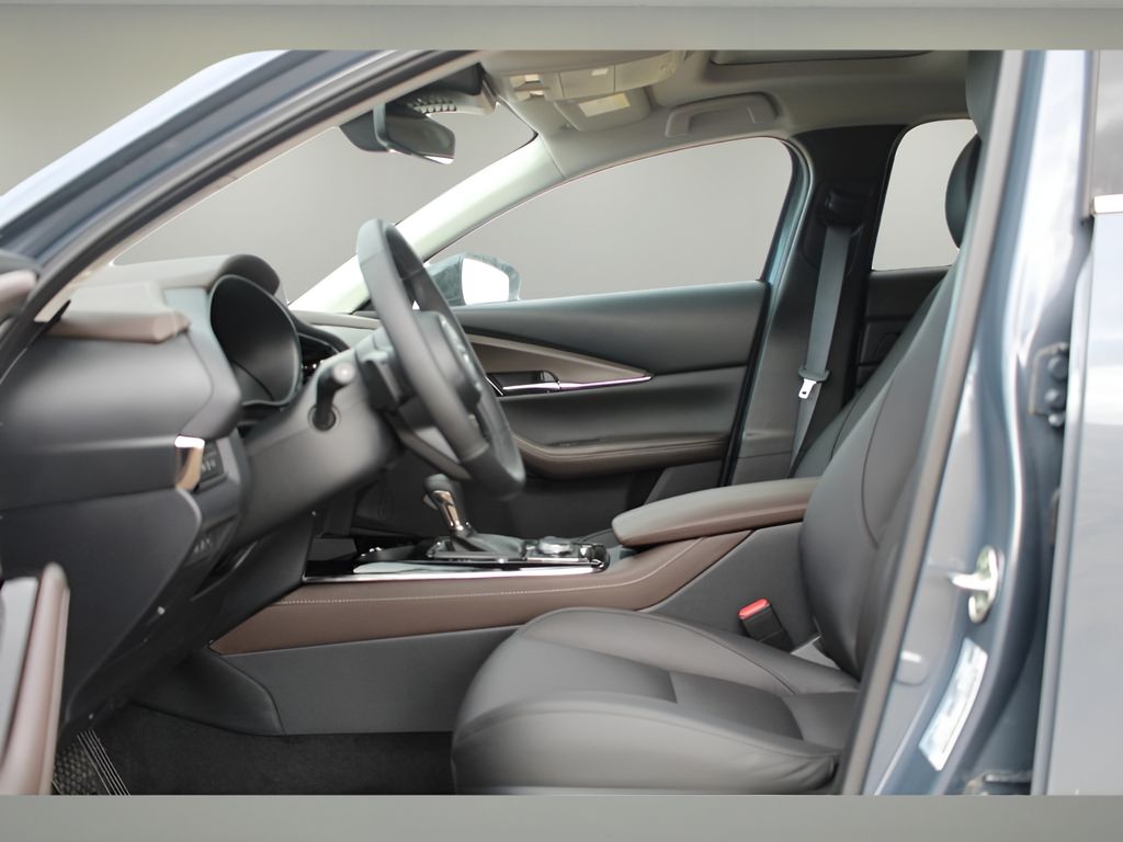 2025 Mazda CX-30 2.5 Turbo Premium Plus Sport photo 9