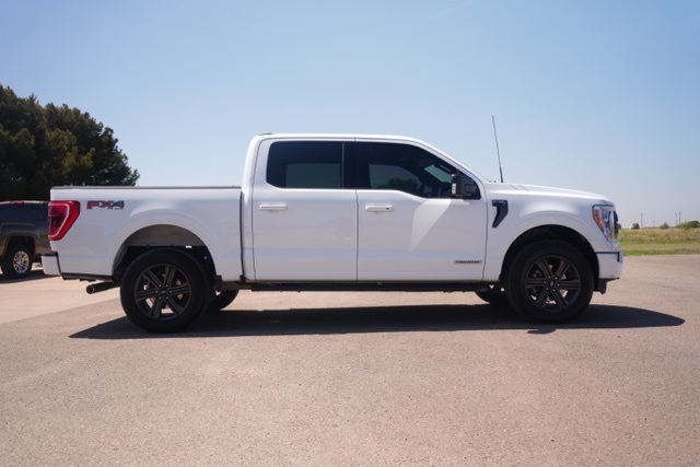 2023 Ford F-150 XLT photo 3