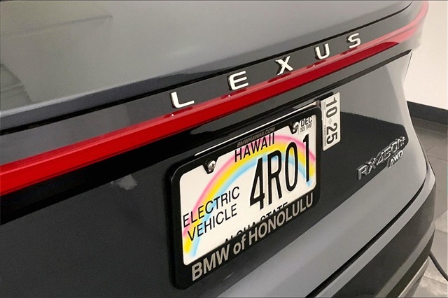 2024 Lexus RX 450h+ Luxury photo 25
