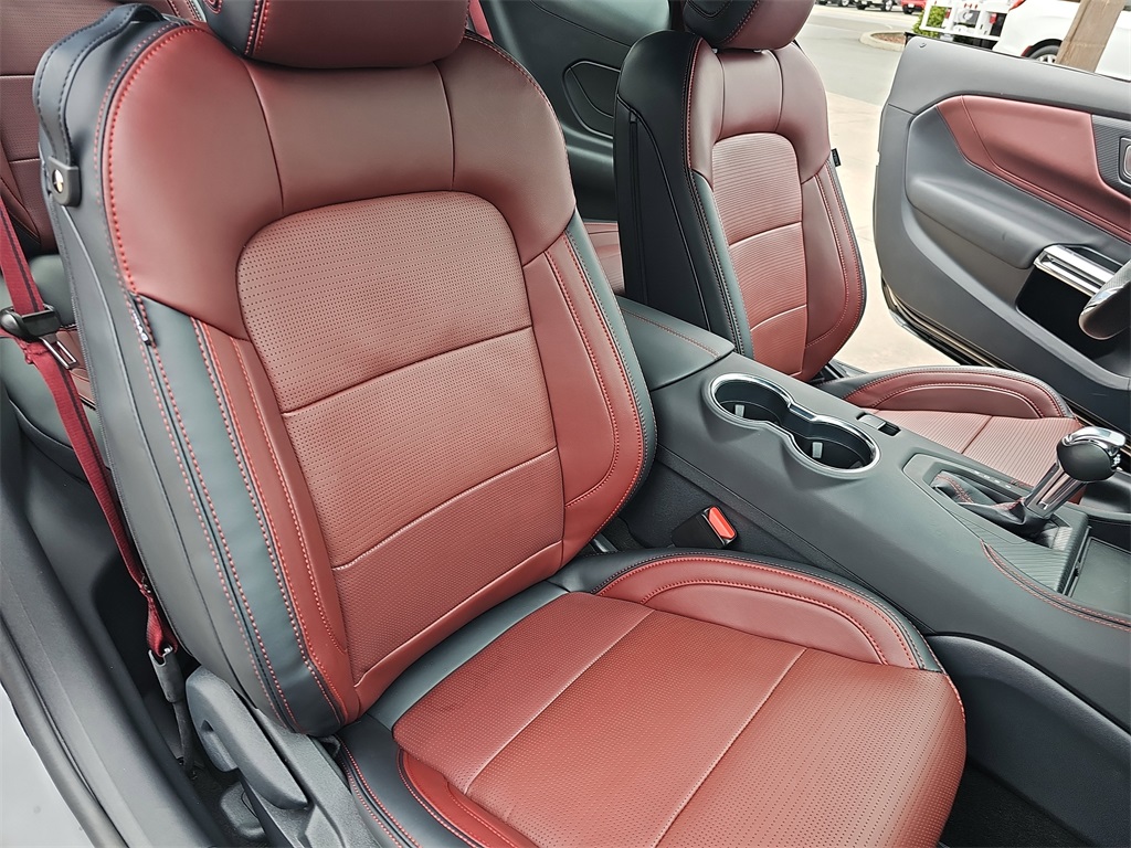 2025 Ford Mustang GT Premium photo 10