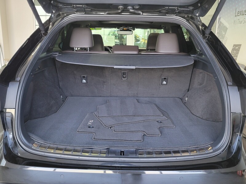 2023 Lexus RX 350 Luxury photo 10