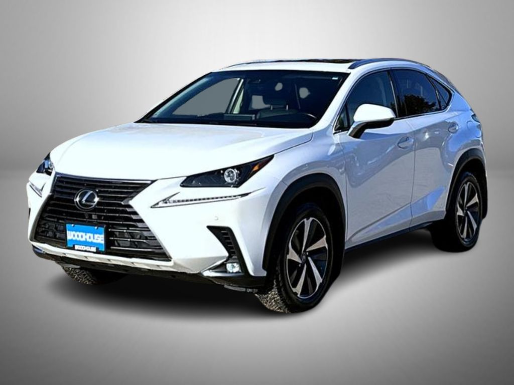 2019 Lexus NX 300's photo