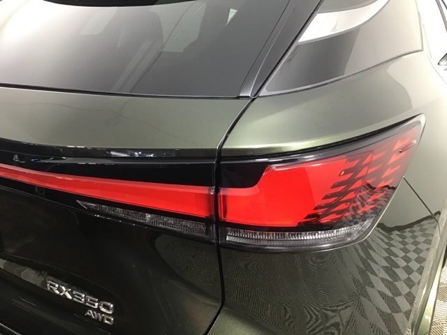 2025 Lexus RX 350 Premium photo 18