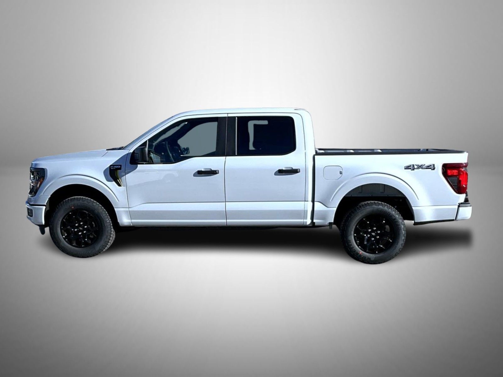 2025 Ford F-150 STX photo 6