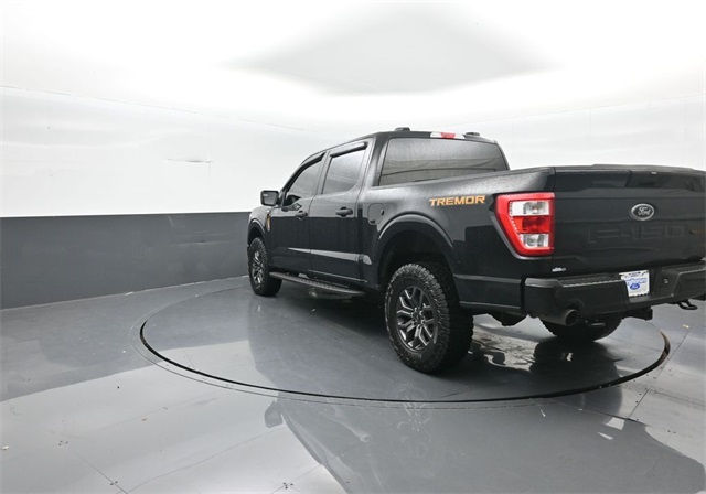2022 Ford F-150 Tremor photo 2