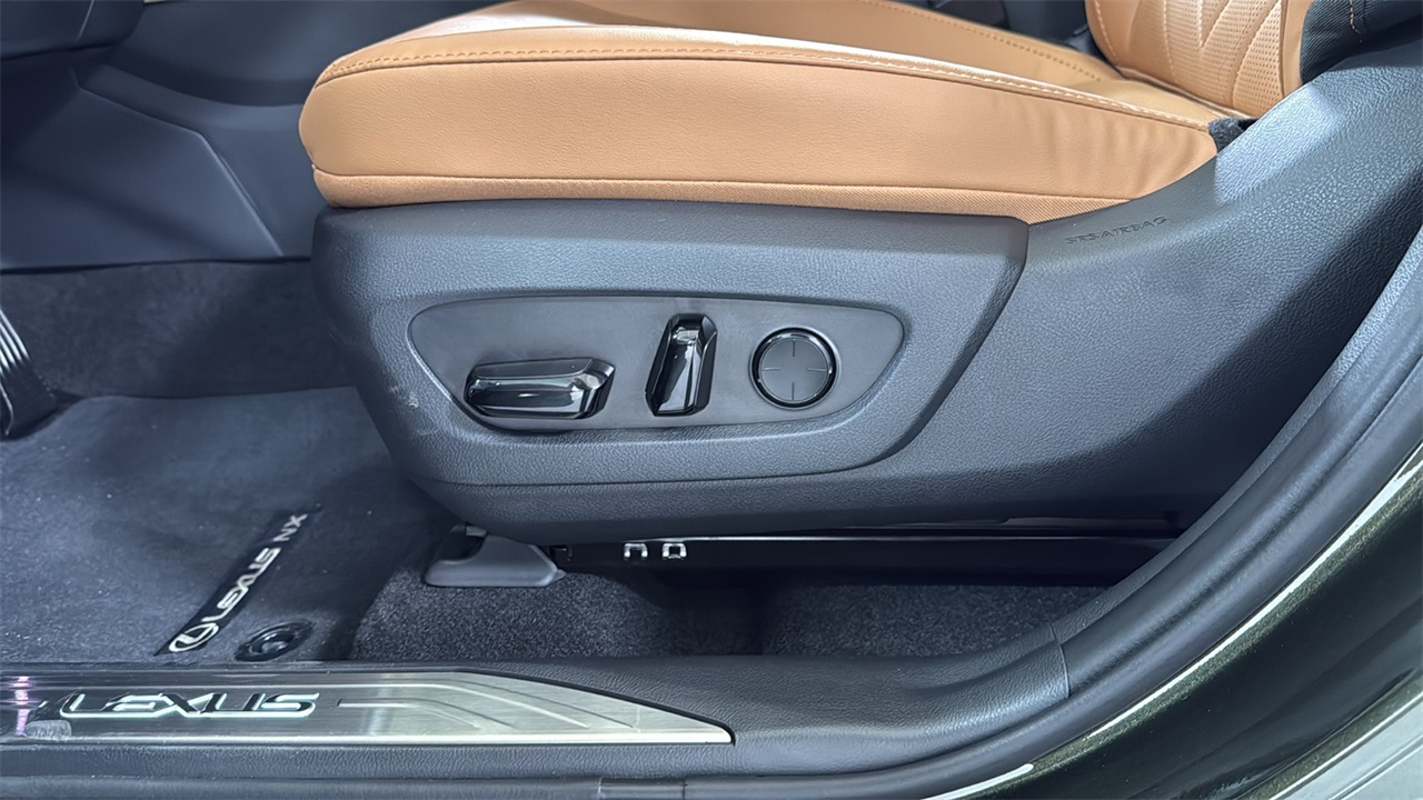 2024 Lexus NX 350 Luxury photo 11