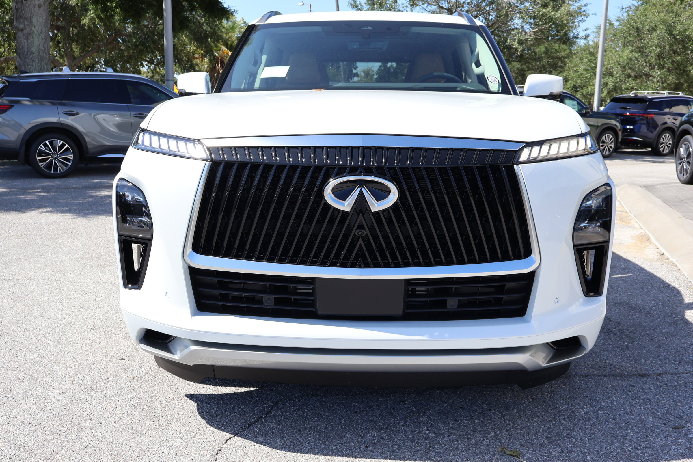 2026 Infiniti QX80 Luxe photo 11