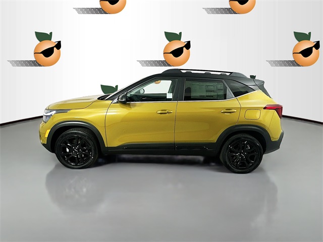 2024 Kia Seltos X-Line photo 4