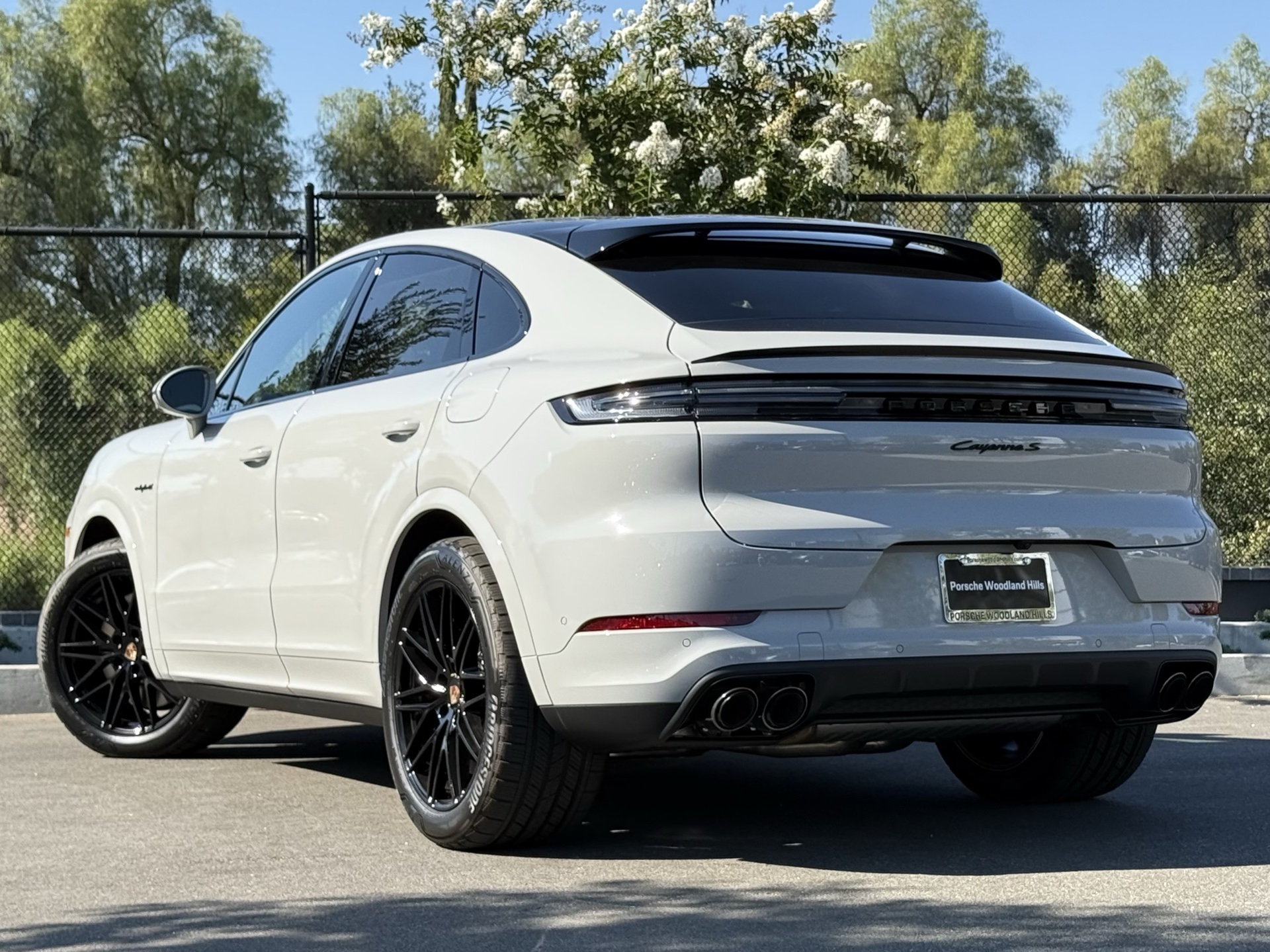 2025 Porsche Cayenne E-Hybrid Coupe photo 3