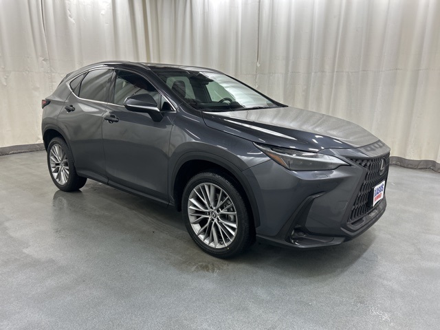 2023 Lexus NX 350's photo