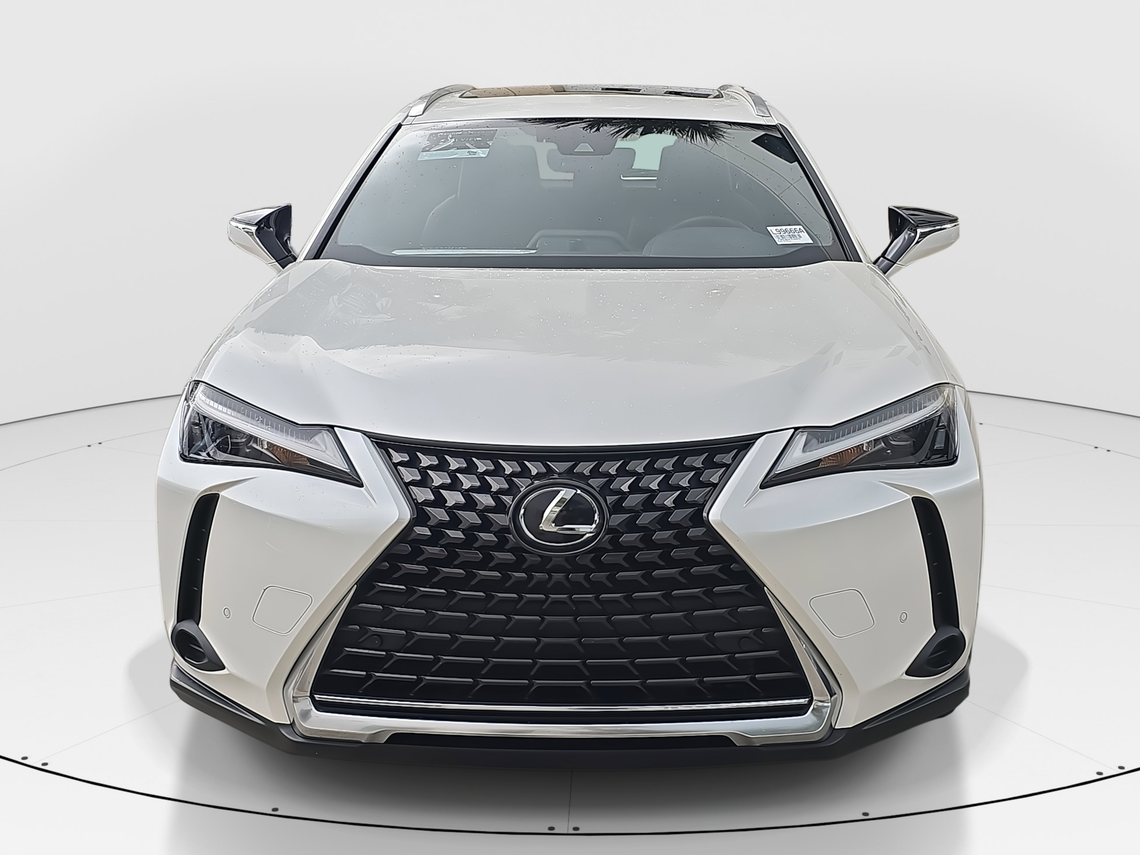 2023 Lexus UX 250h Premium photo 2