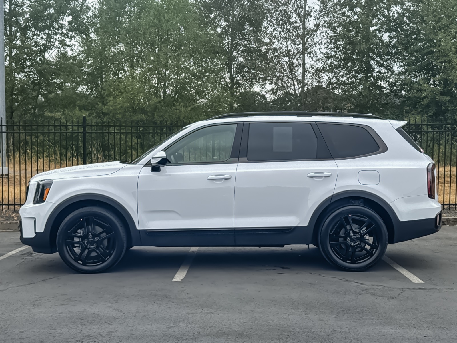 2025 Kia Telluride X-Line photo 6