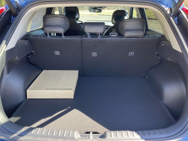 2025 Kia Niro EV Wind photo 25