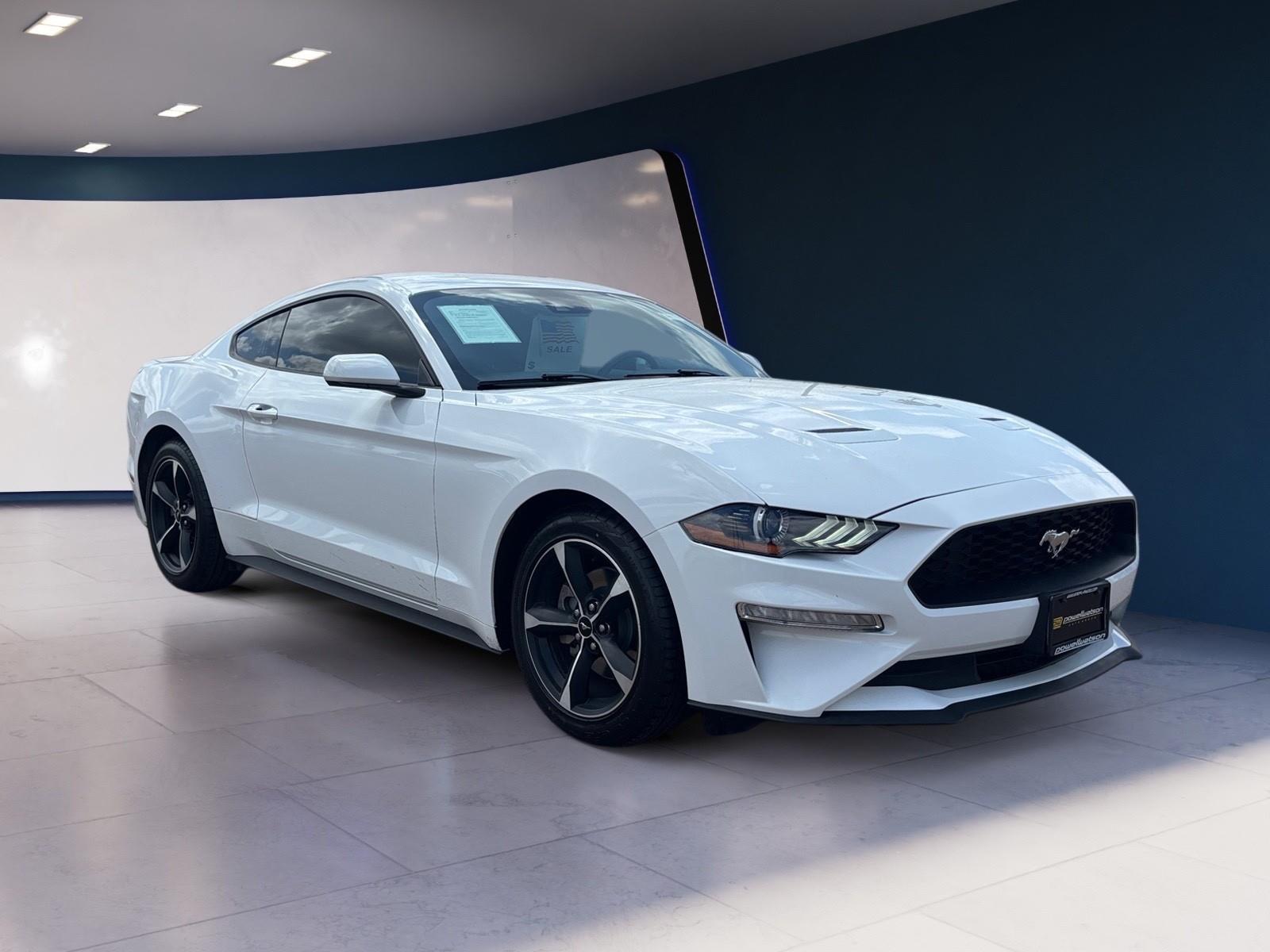 2023 Ford Mustang EcoBoost photo 7