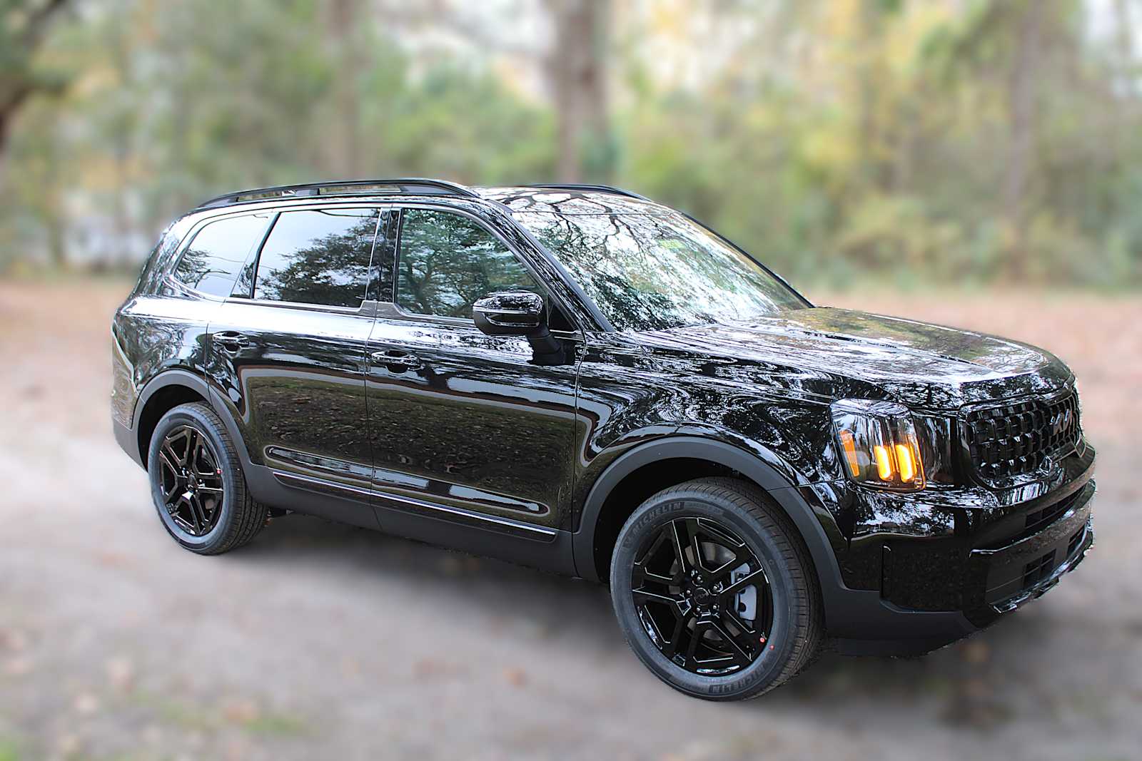 2025 Kia Telluride EX X-Line photo 3