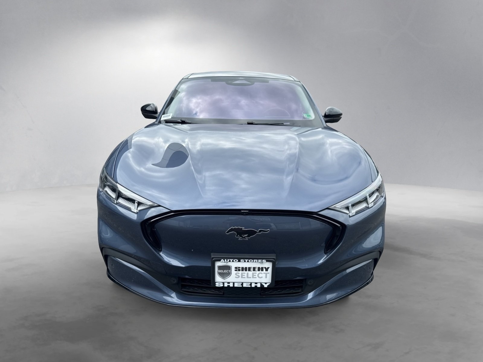 2021 Ford Mustang Mach-E Premium photo 14