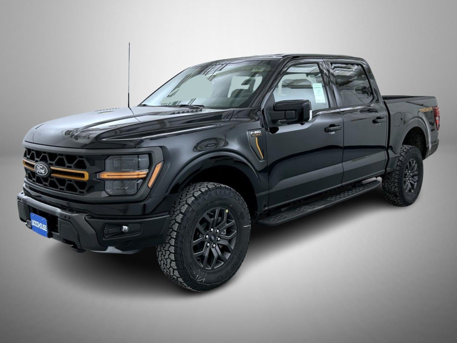 2025 Ford F-150 Tremor's photo