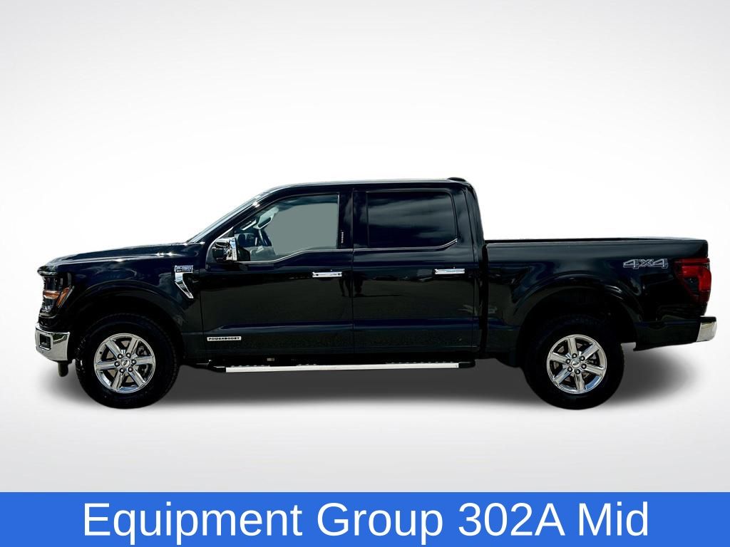 2024 Ford F-150 XLT photo 3