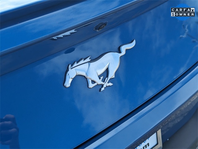 2024 Ford Mustang EcoBoost Premium photo 11
