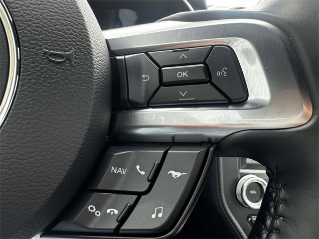 2023 Ford Mustang Mach 1 photo 17
