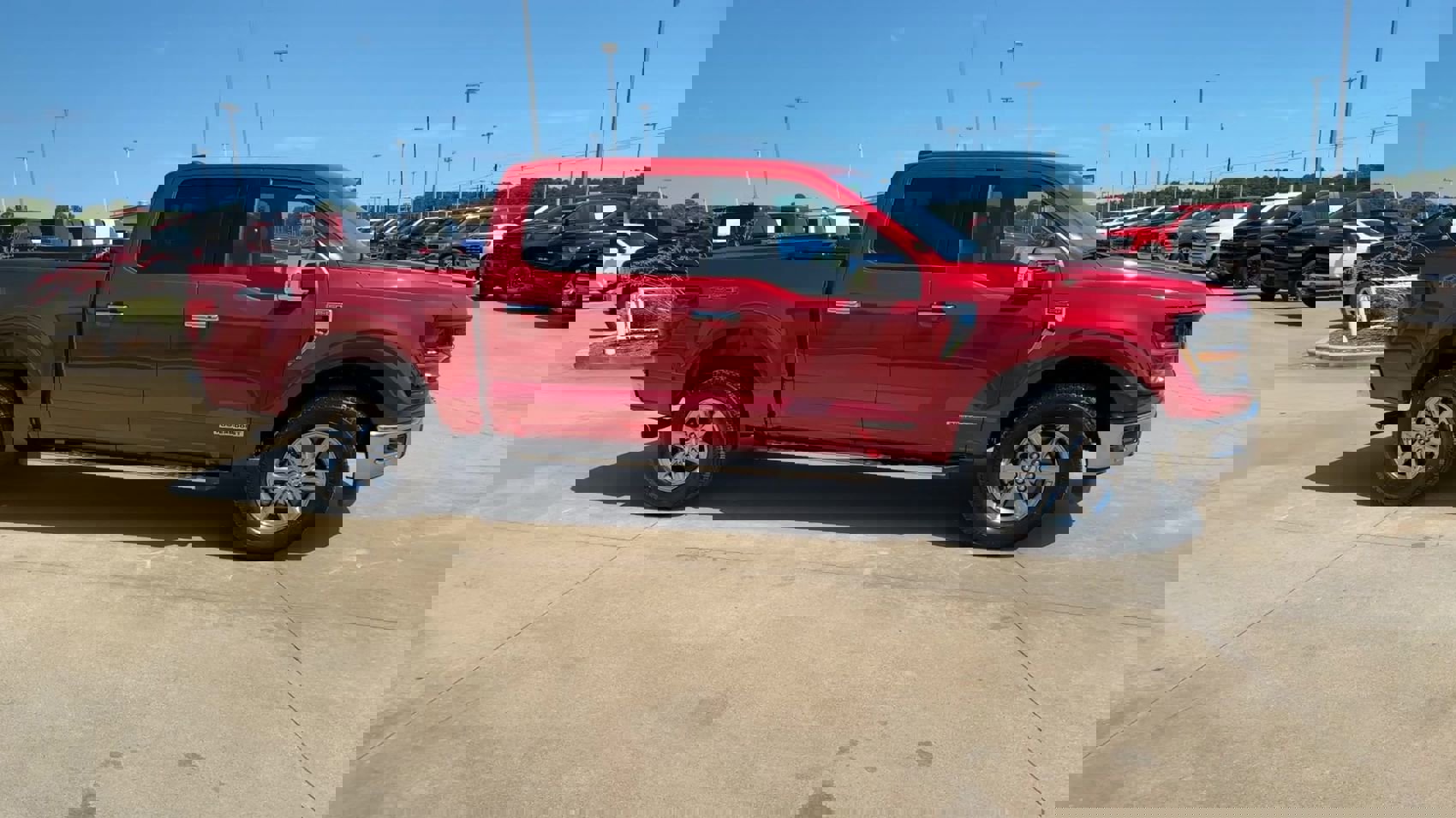 2024 Ford F-150 XLT photo 9