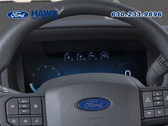 2025 FORD F-150 - Image 13