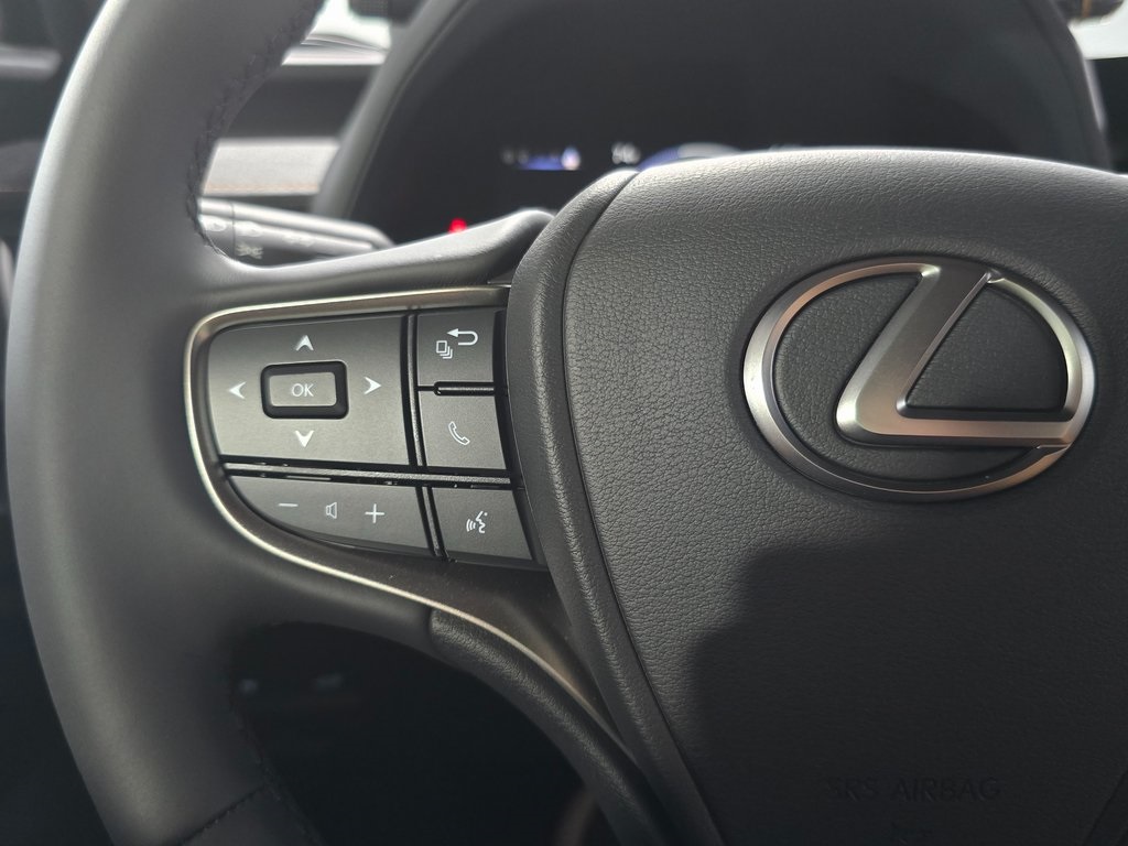 2025 Lexus UX photo 14