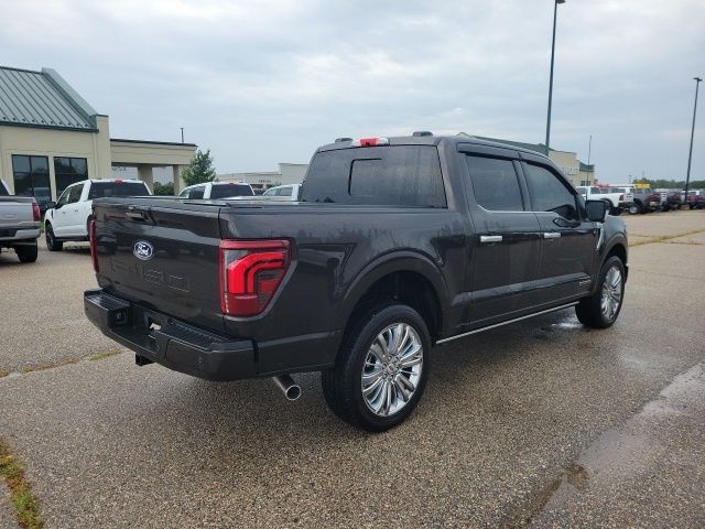 2024 Ford F-150 Platinum photo 20