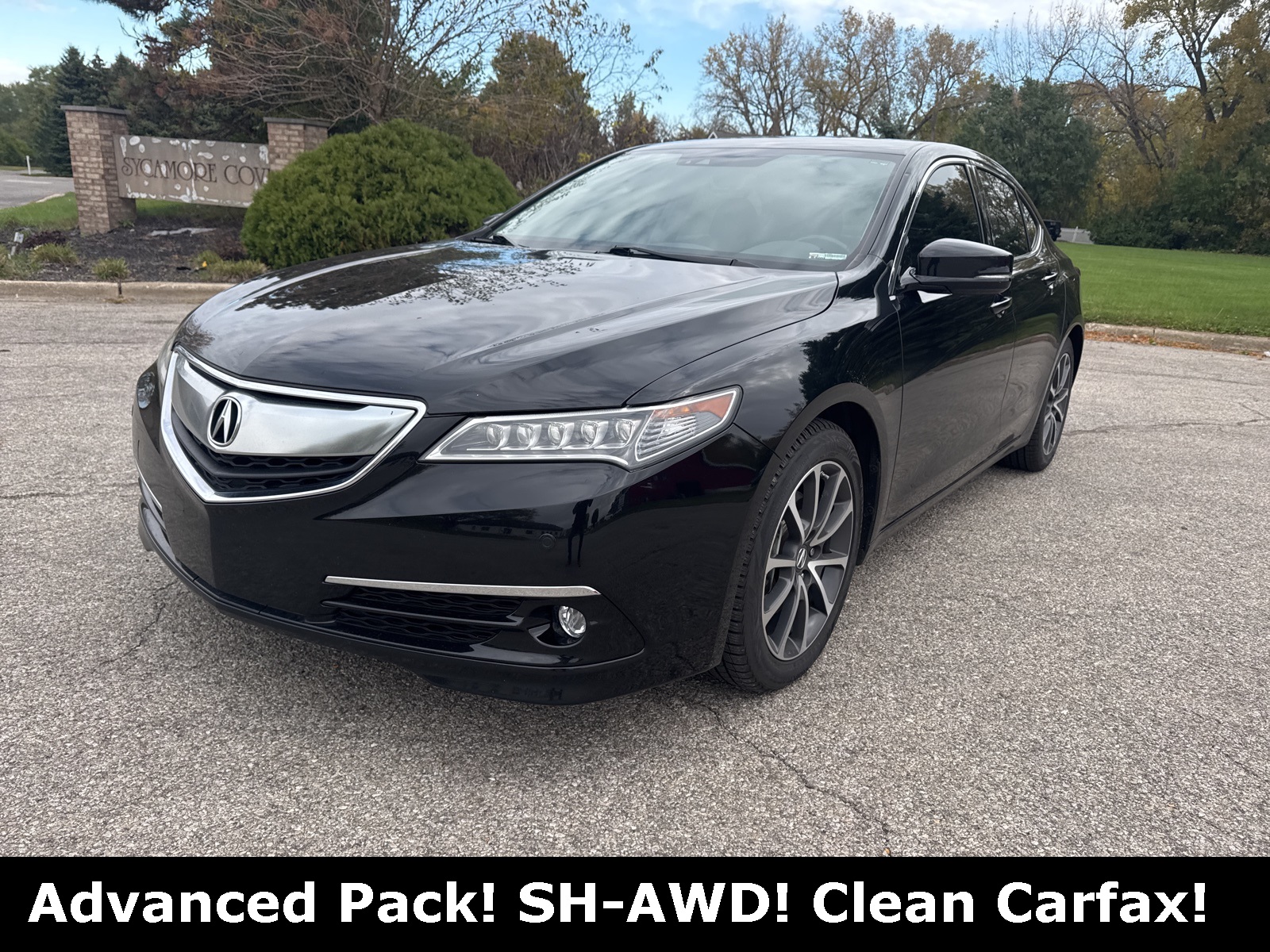 2016 Acura TLX Advance Package's photo
