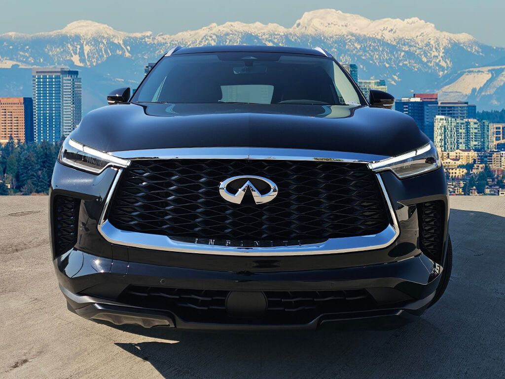 2024 Infiniti QX60 Luxe photo 2