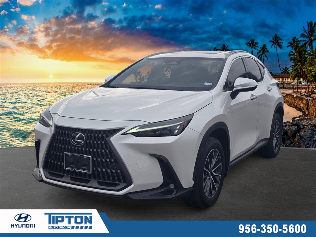 2024 Lexus NX Hybrid 350h's photo