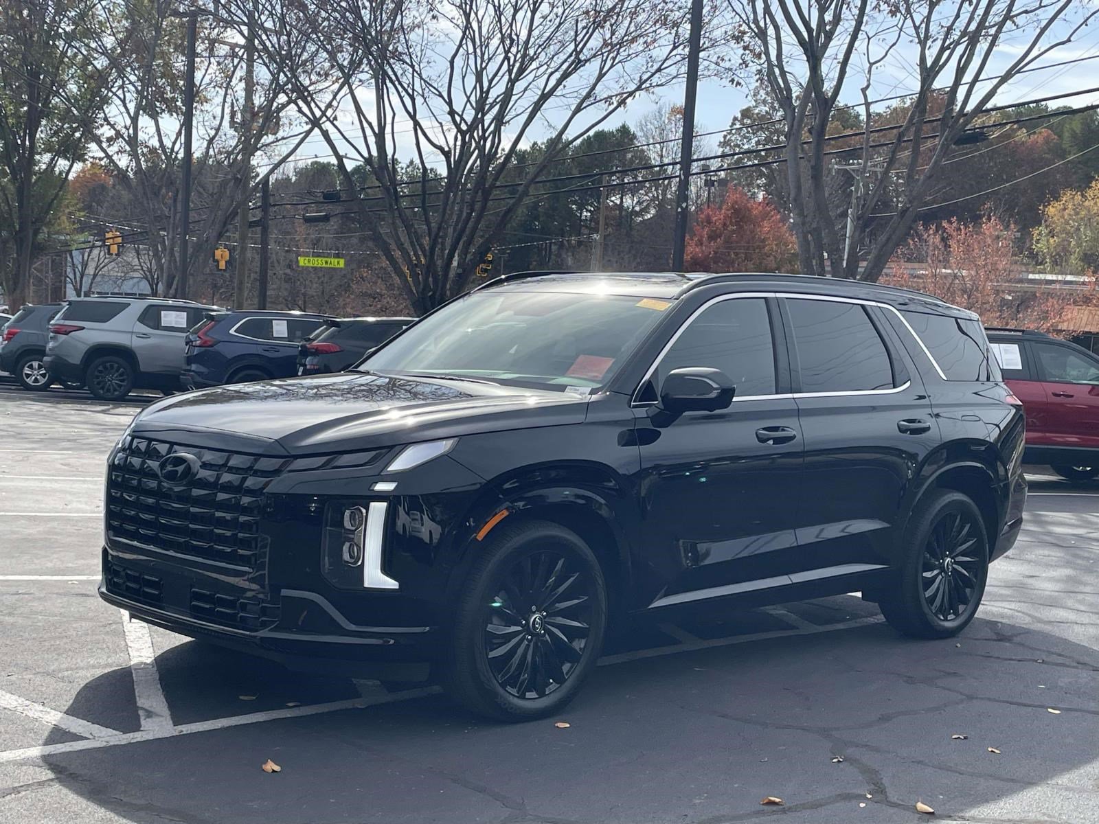 2025 Hyundai Palisade Calligraphy photo 3