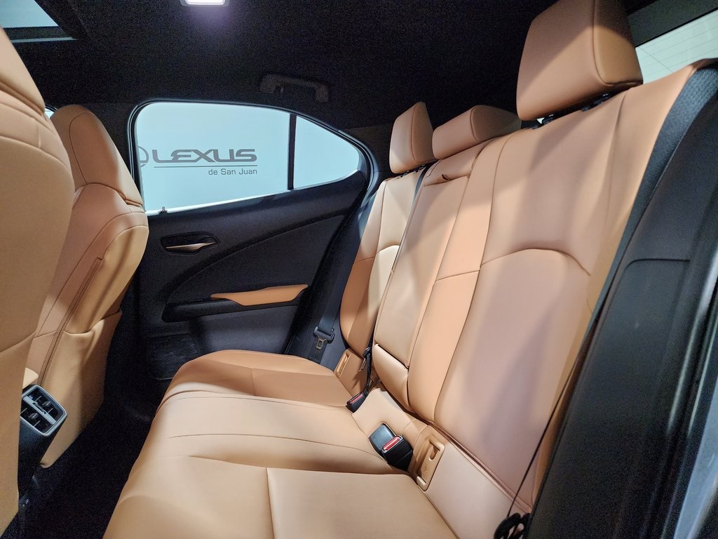 2025 Lexus UX photo 24