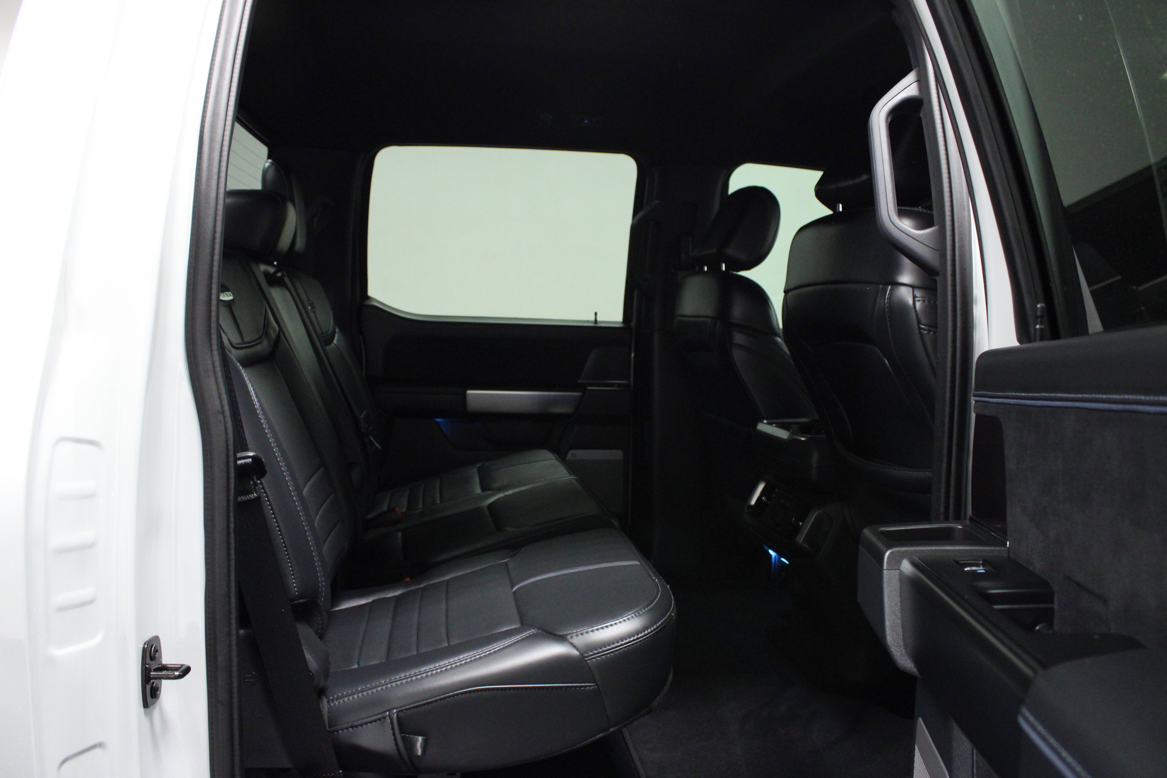 2024 Ford F-150 Platinum photo 14
