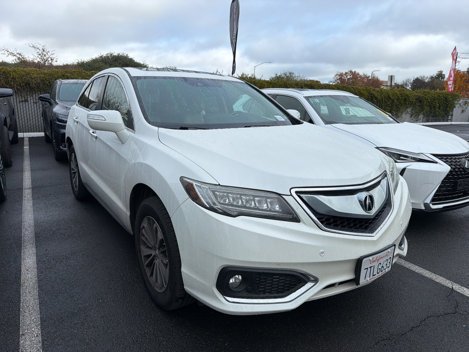 2017 Acura RDX Advance Package's photo