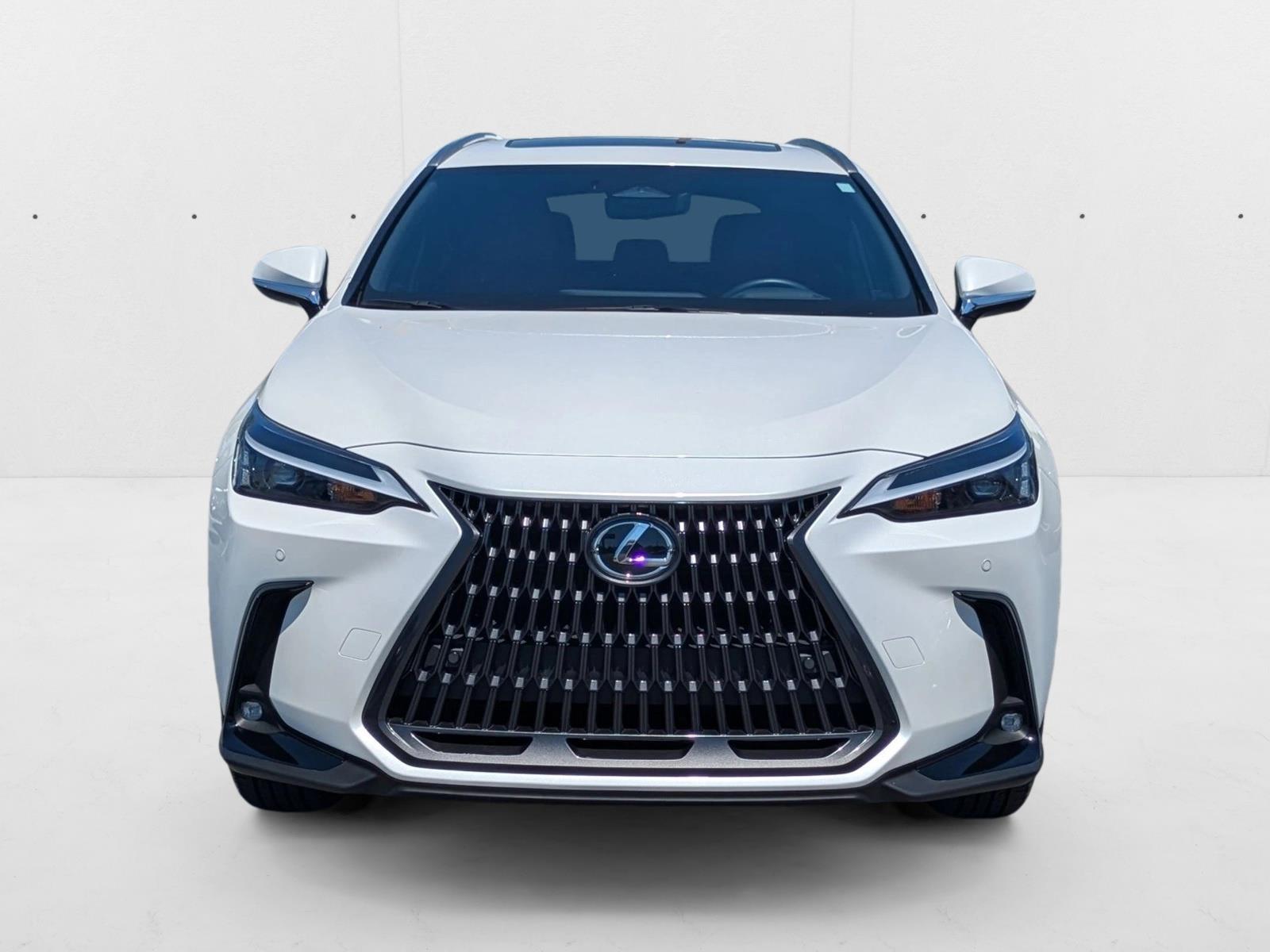2024 Lexus NX 350h Premium AWD photo 2