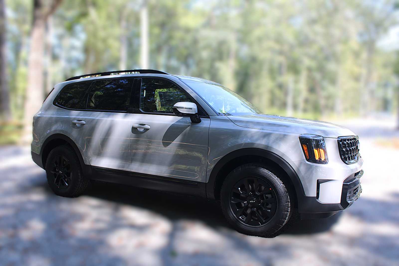 2025 Kia Telluride SX X-Line photo 11
