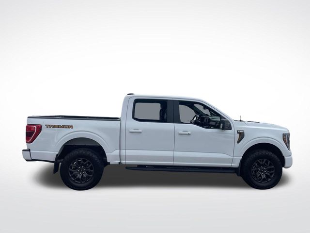 2023 Ford F-150 Tremor photo 7