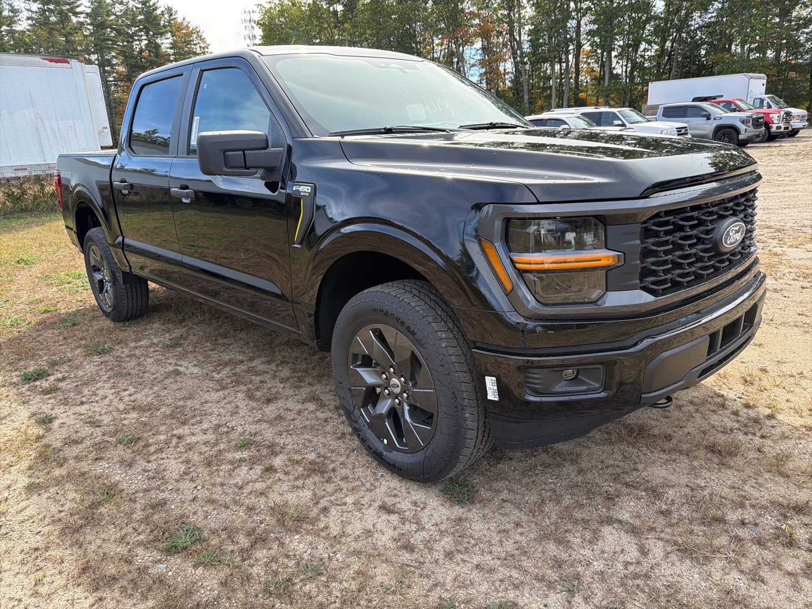 2025 Ford F-150 STX's photo