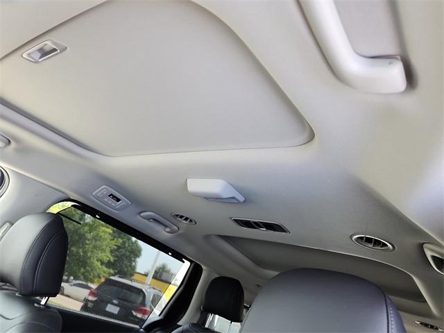 2026 Kia Carnival SX photo 25