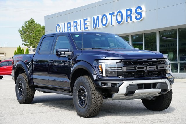 2025 FORD F-150 - Image 31