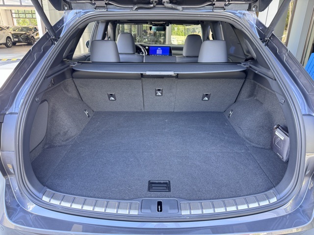 2025 Lexus RX 450h+ Luxury photo 19