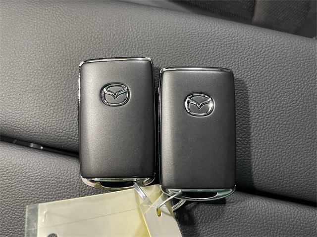 2025 Mazda CX-50 2.5 S Preferred photo 31