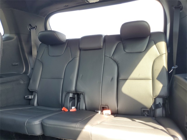 2025 Kia Telluride SX Prestige X-Line photo 9