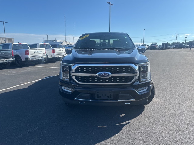 2022 Ford F-150 Platinum photo 2